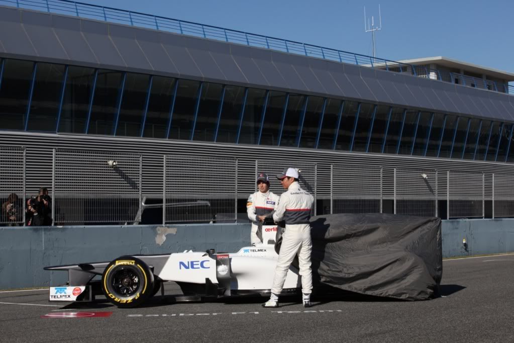 Sauber-C31-10.jpg
