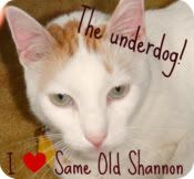 Same Old Shannon
