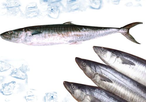 Chả cá thu lem (cá thu ảo) sỉ và lẻ cho gia đình và quán ăn