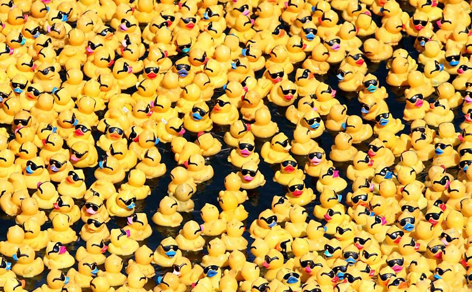 FUNDRAISER: The Coastal Duck Derby FUNDRAISER: The Coastal Duck Derby