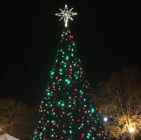 Downtown Holiday Tree Lighting Downtown Holiday Tree Lighting