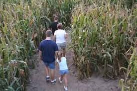 Maze Craze Maze Craze