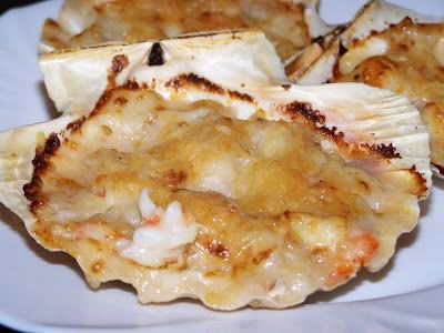 conchas lindas conchas lindas