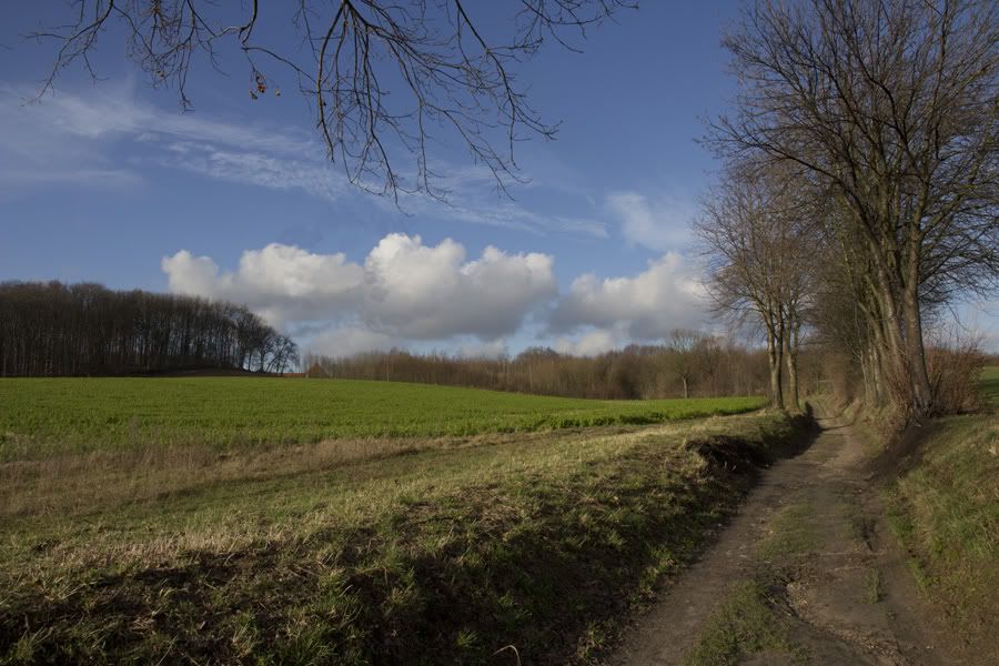 Fotografie