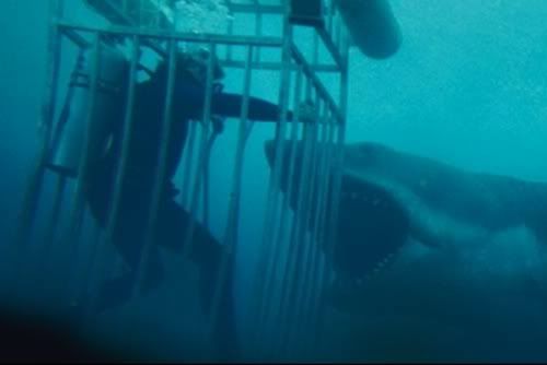 screeningRoom_Jaws03jpgashx.jpg