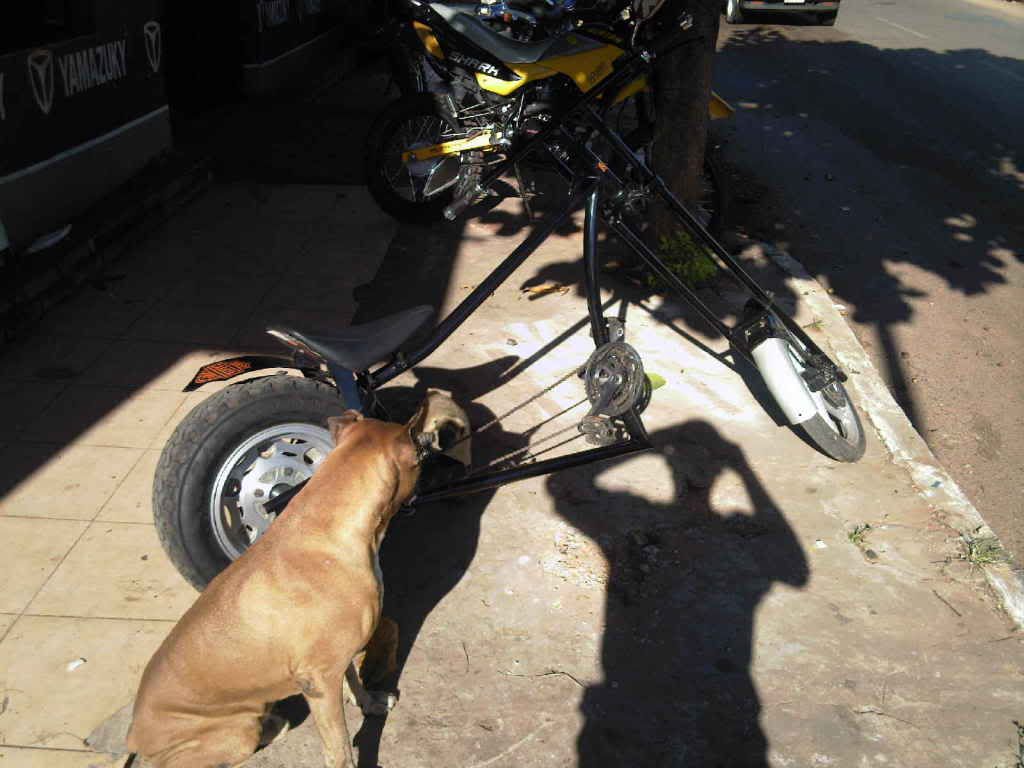 bici bici