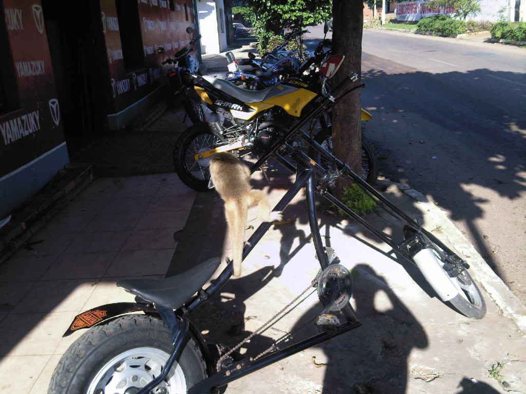 Mi bicicleta chopper Mi bicicleta chopper