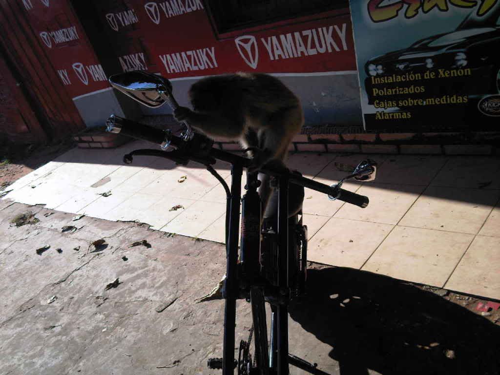 chopper chopper