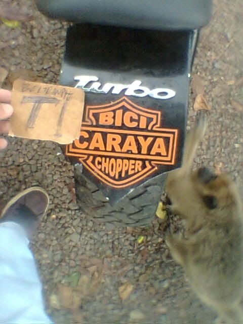 bici bici