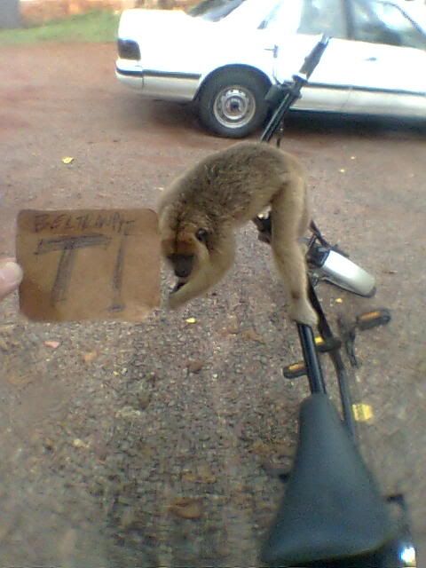 chopper chopper