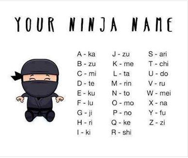 Ninja_zps6a97a23e.png