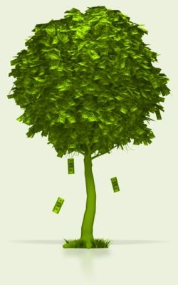 money_tree_pc_3281.jpg