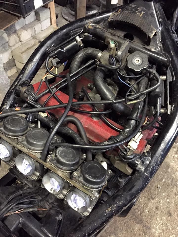 11403069_1044655615552644_83691094428129
