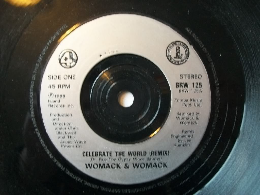 Womack & Womack - Celebrate The World CD