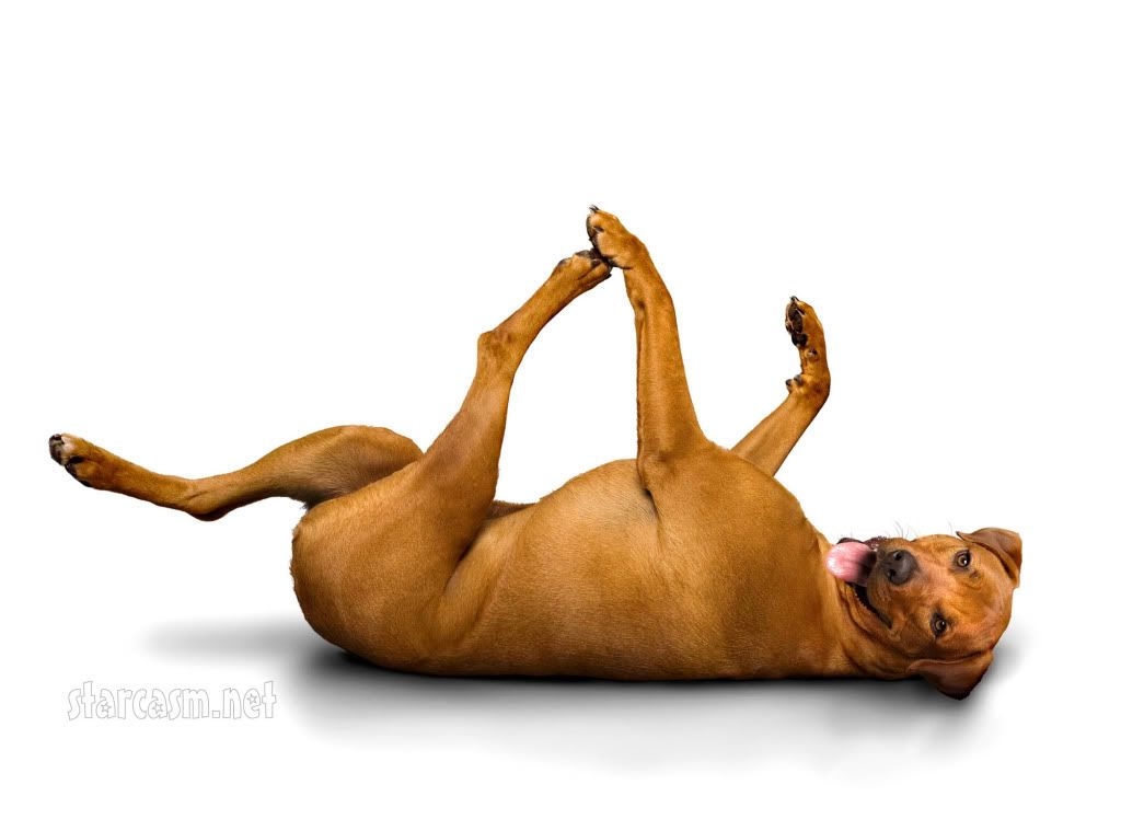 FP_3869227_Barm_Yoga_102409.jpg