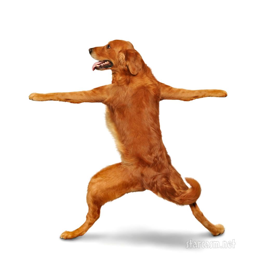 FP_3869243_Barm_Yoga_102409.jpg