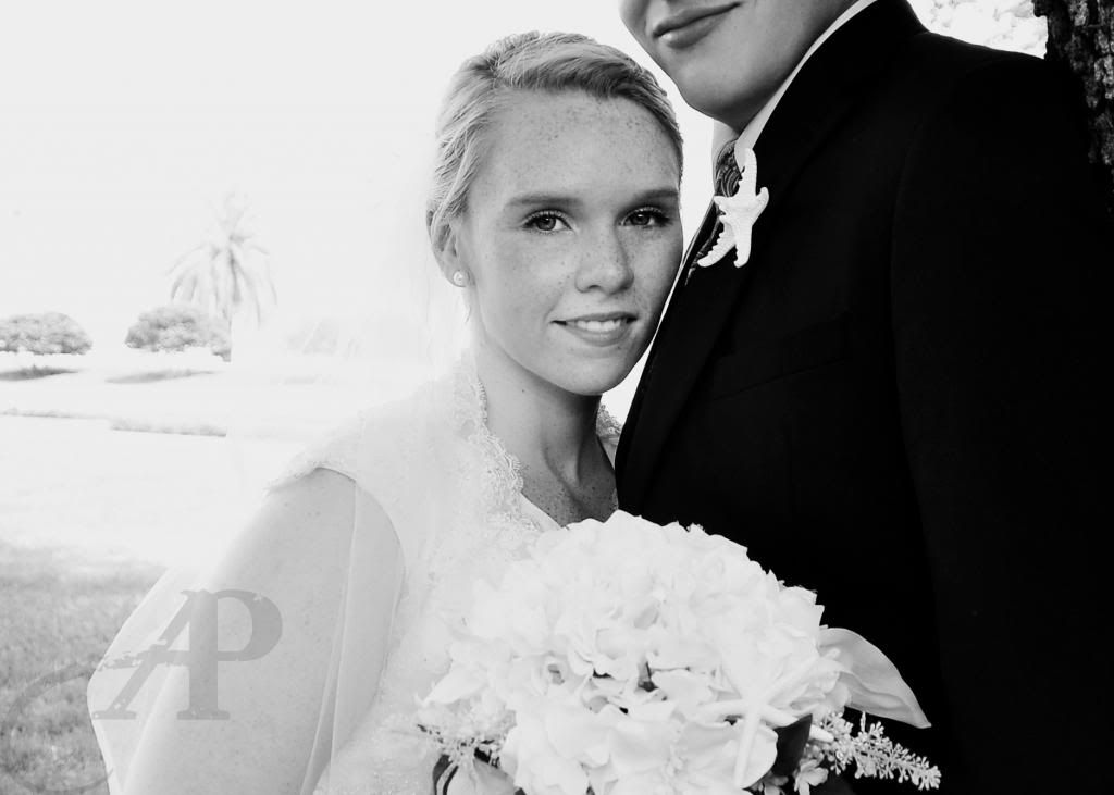  photo DSC_0237-ccbampw.jpg