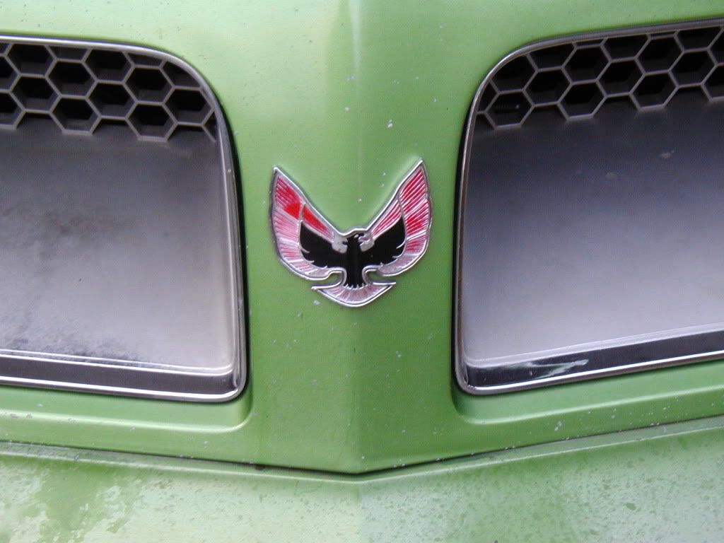 My 1976 metalime green Firebird Esprit with white one black interior