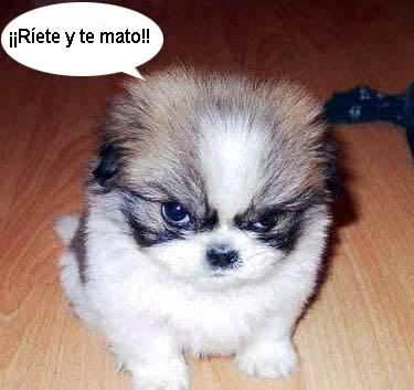 fotos fotos