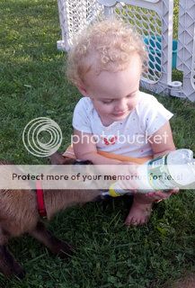 2012-08-25_18-18-43_9942