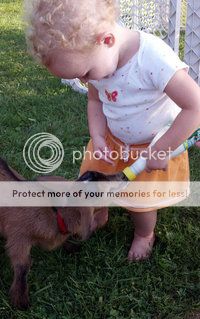 2012-08-25_18-18-53_8502-1