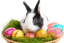 Easter Bunny Drawn Carriage Rides Easter Bunny Drawn Carriage Rides