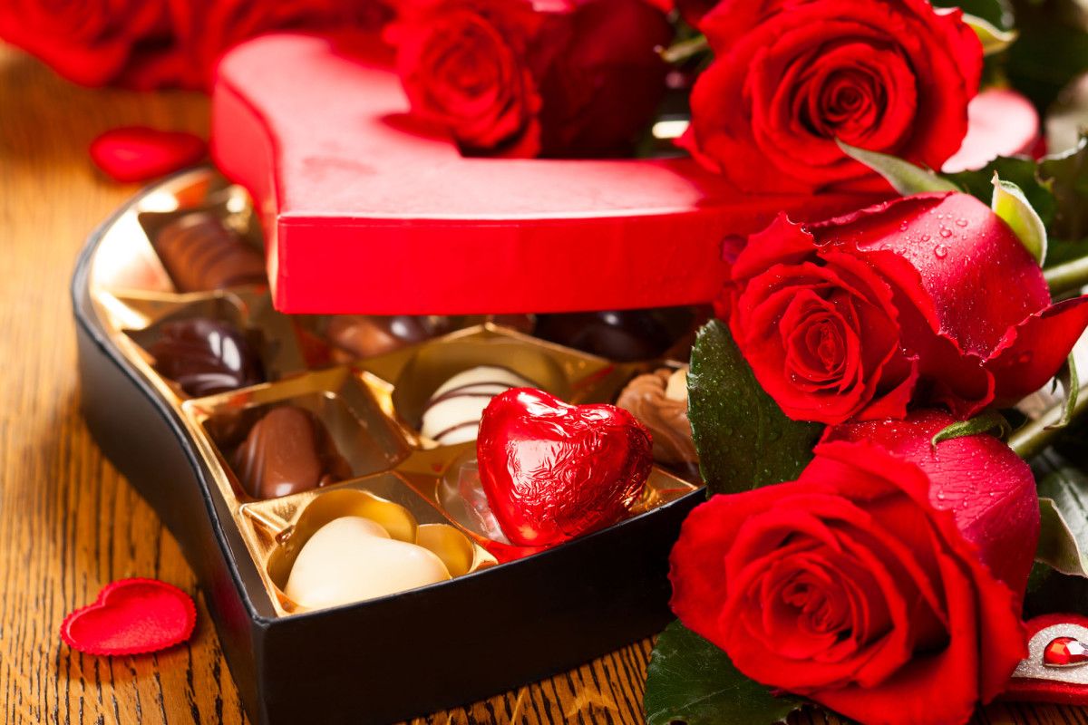 Five Essentials of Growing Beautiful Roses Five Essentials of Growing Beautiful Roses