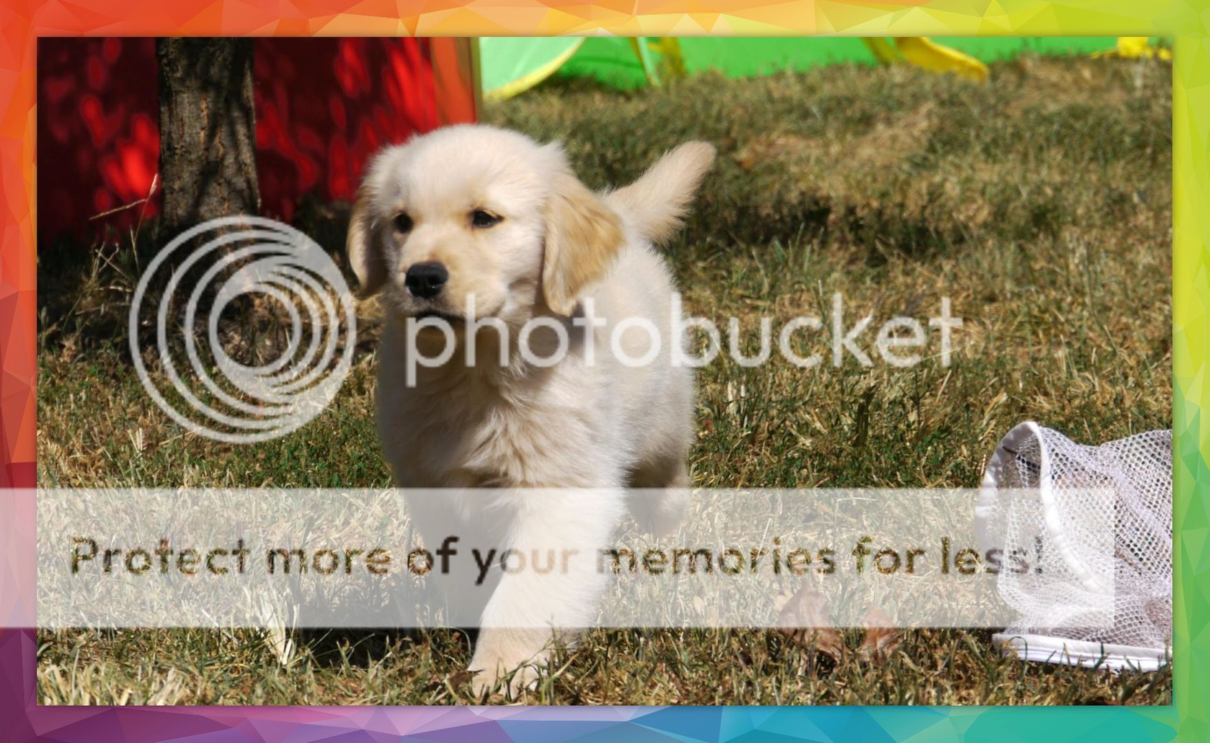 Photobucket - Video and Image Hosting