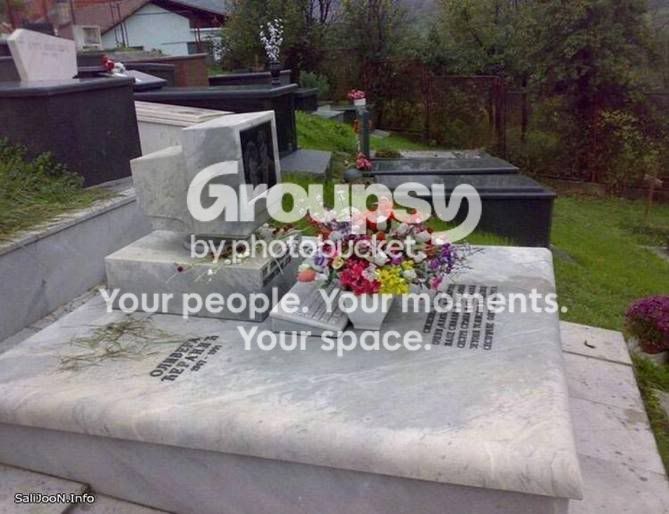 ATT69190.jpg
