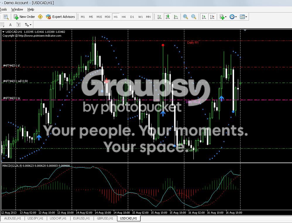 Pivotpointdemo19-08-2013.jpg