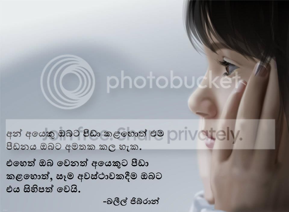image-8.jpg